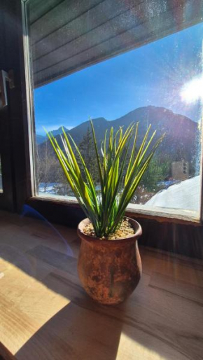 Suita 305 Kranjska Gora